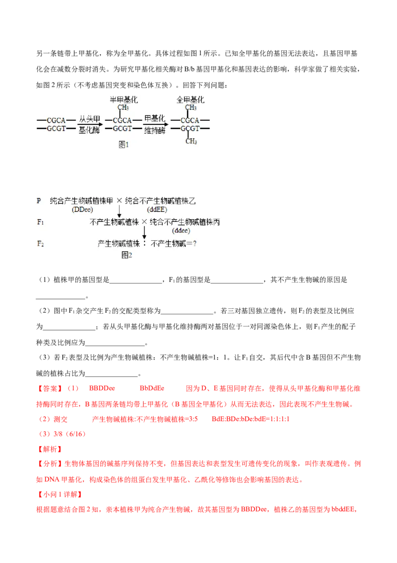 黄金卷08（解析版）-赢在高考&middot;黄金8卷备战2024年高考生物模拟卷（河北专用）_2024年新高考资料_4.2024高考模拟预测试卷