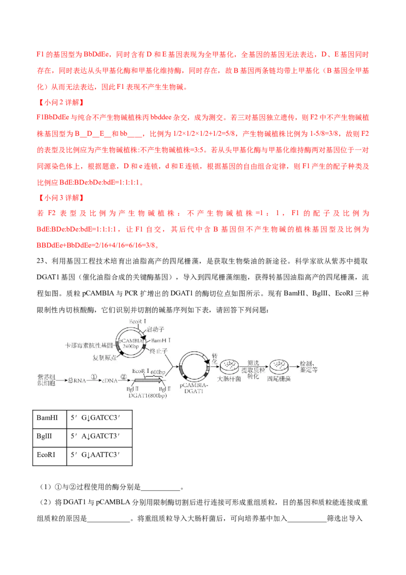 黄金卷08（解析版）-赢在高考&middot;黄金8卷备战2024年高考生物模拟卷（河北专用）_2024年新高考资料_4.2024高考模拟预测试卷