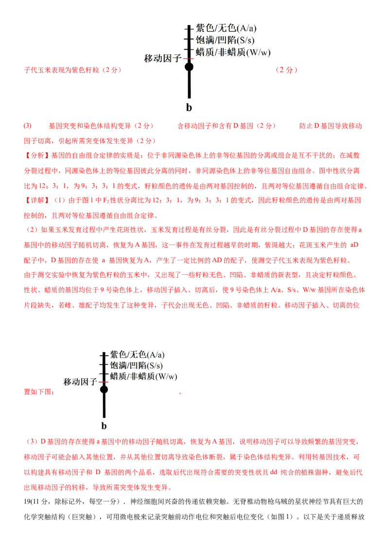 黄金卷08（解析版）_2024年新高考资料_4.2024高考模拟预测试卷_赢在高考&middot;黄金8卷备战2024年高考生物模拟卷（湖南专用）31263208