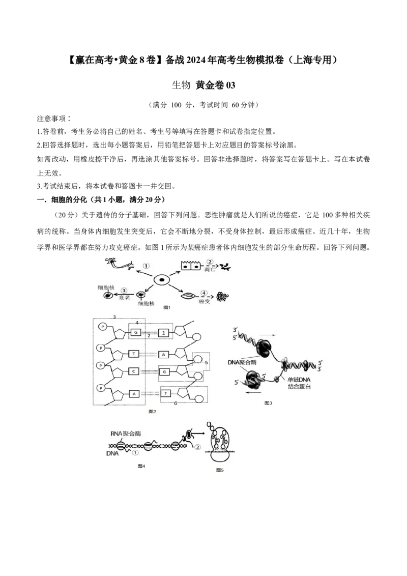 黄金卷03（解析版）-赢在高考&middot;黄金8卷备战2024年高考生物模拟卷（上海专用）_2024年新高考资料_4.2024高考模拟预测试卷