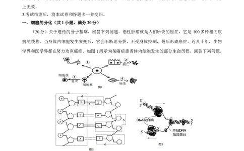 黄金卷03（解析版）-赢在高考&middot;黄金8卷备战2024年高考生物模拟卷（上海专用）_2024年新高考资料_4.2024高考模拟预测试卷