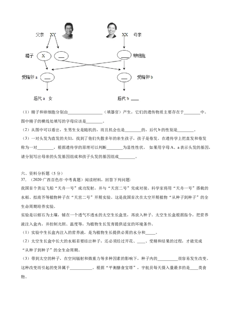 02生物的遗传和变异B卷（原卷版）_初中全科电子版试卷练习试题_生物_生物8下练习_人教生物8年级下单元试卷38份_第3套八年级生物下册单元试卷（人教版）06份