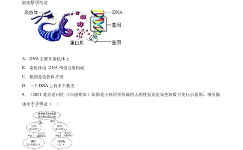02生物的遗传和变异B卷（原卷版）_初中全科电子版试卷练习试题_生物_生物8下练习_人教生物8年级下单元试卷38份_第3套八年级生物下册单元试卷（人教版）06份