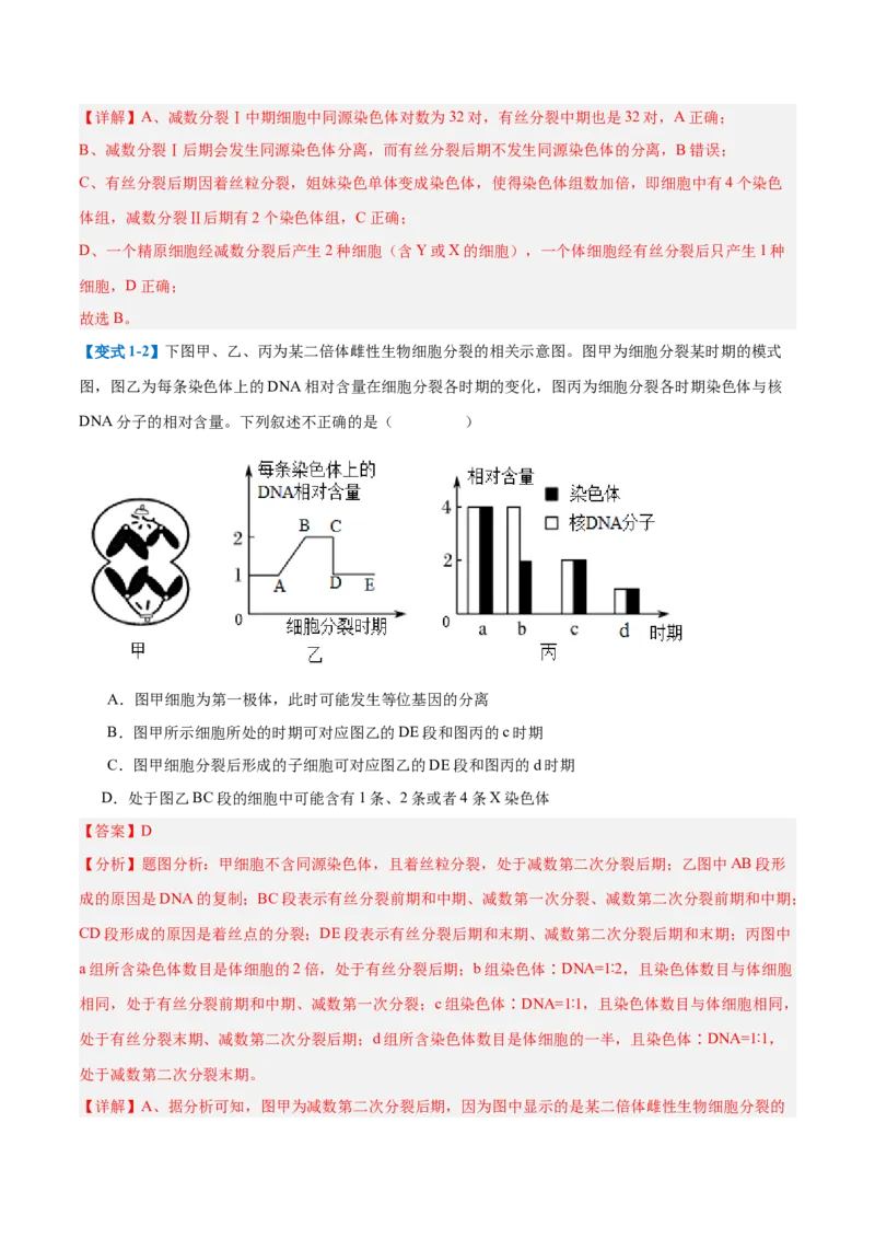 专题08减数分裂和受精作用（5大题型）（解析版）_2025年新高考资料_一轮复习_备战2025年高考生物一轮复习题型全覆盖（新高考通用）