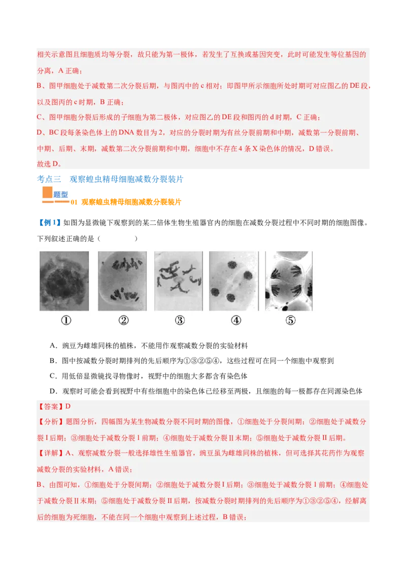 专题08减数分裂和受精作用（5大题型）（解析版）_2025年新高考资料_一轮复习_备战2025年高考生物一轮复习题型全覆盖（新高考通用）