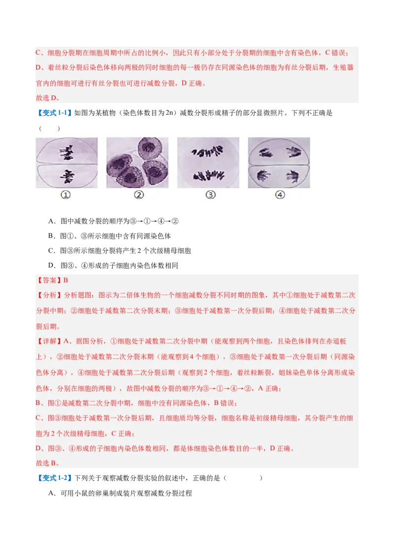 专题08减数分裂和受精作用（5大题型）（解析版）_2025年新高考资料_一轮复习_备战2025年高考生物一轮复习题型全覆盖（新高考通用）
