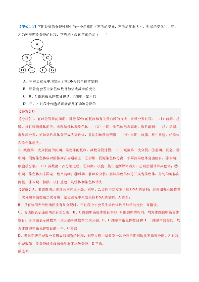 专题08减数分裂和受精作用（5大题型）（解析版）_2025年新高考资料_一轮复习_备战2025年高考生物一轮复习题型全覆盖（新高考通用）
