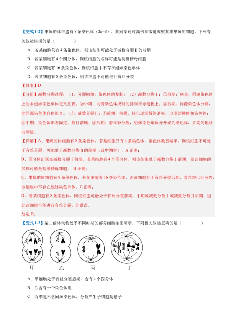 专题08减数分裂和受精作用（5大题型）（解析版）_2025年新高考资料_一轮复习_备战2025年高考生物一轮复习题型全覆盖（新高考通用）