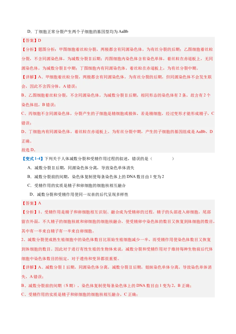 专题08减数分裂和受精作用（5大题型）（解析版）_2025年新高考资料_一轮复习_备战2025年高考生物一轮复习题型全覆盖（新高考通用）