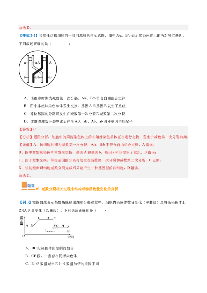 专题08减数分裂和受精作用（5大题型）（解析版）_2025年新高考资料_一轮复习_备战2025年高考生物一轮复习题型全覆盖（新高考通用）