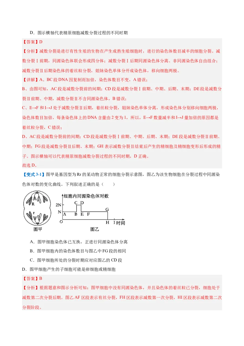 专题08减数分裂和受精作用（5大题型）（解析版）_2025年新高考资料_一轮复习_备战2025年高考生物一轮复习题型全覆盖（新高考通用）