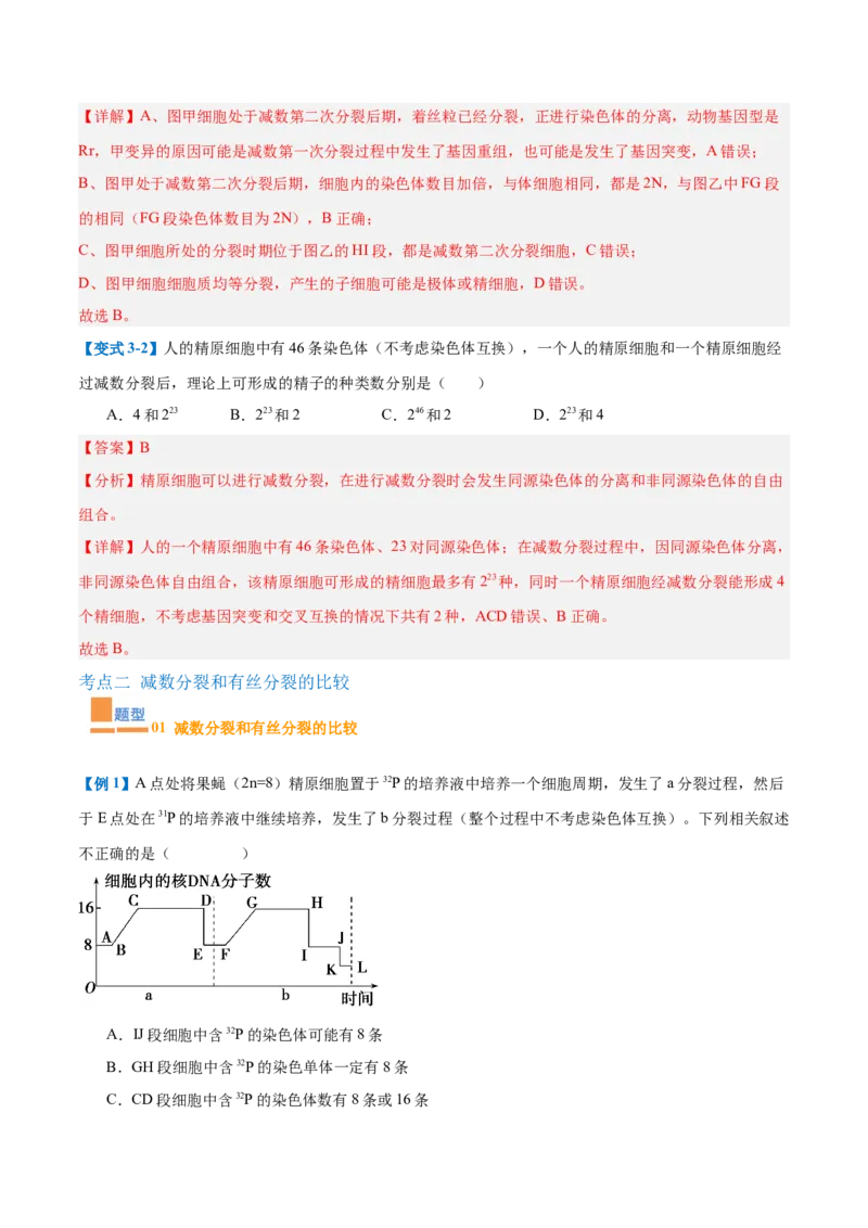 专题08减数分裂和受精作用（5大题型）（解析版）_2025年新高考资料_一轮复习_备战2025年高考生物一轮复习题型全覆盖（新高考通用）