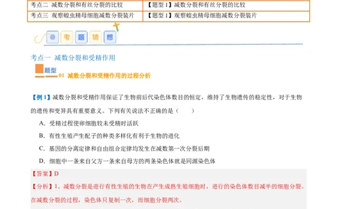 专题08减数分裂和受精作用（5大题型）（解析版）_2025年新高考资料_一轮复习_备战2025年高考生物一轮复习题型全覆盖（新高考通用）