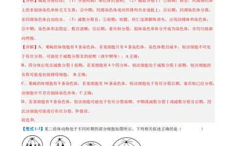 专题08减数分裂和受精作用（5大题型）（解析版）_2025年新高考资料_一轮复习_备战2025年高考生物一轮复习题型全覆盖（新高考通用）