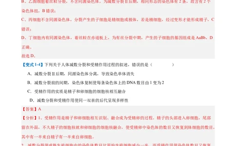 专题08减数分裂和受精作用（5大题型）（解析版）_2025年新高考资料_一轮复习_备战2025年高考生物一轮复习题型全覆盖（新高考通用）