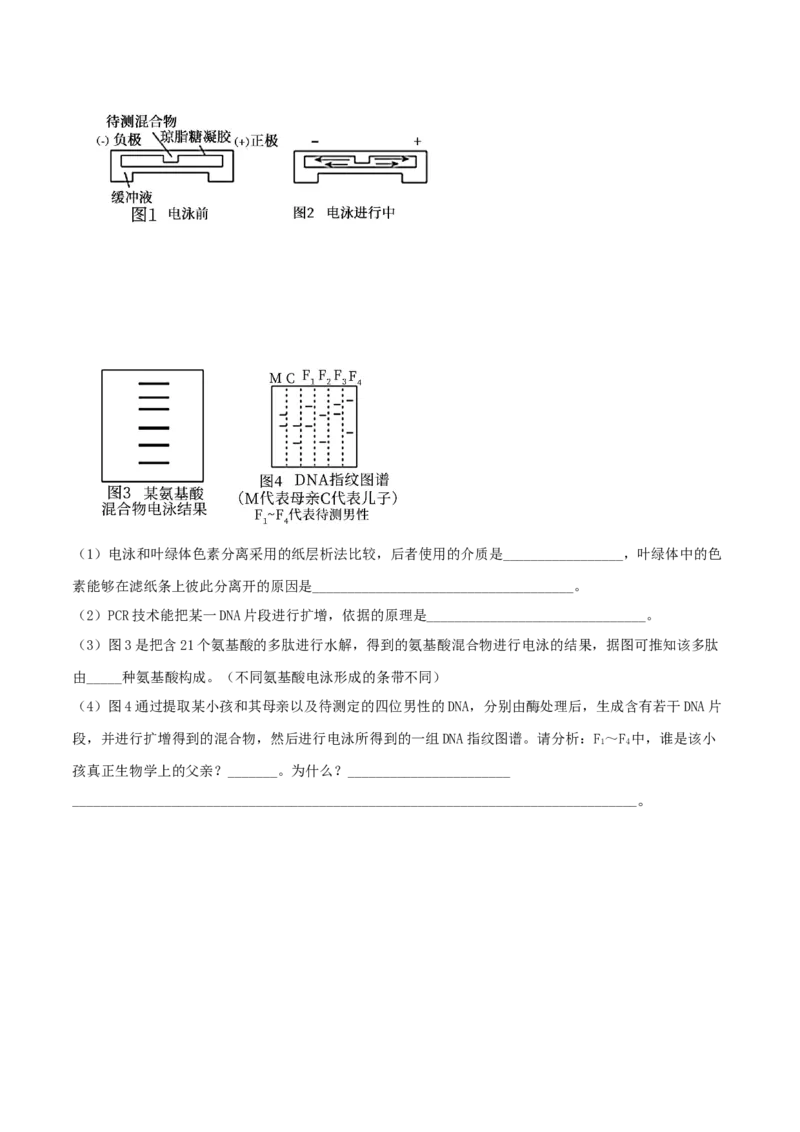 黄金卷08（考试版）_2024年新高考资料_4.2024高考模拟预测试卷_赢在高考&middot;黄金8卷备战2024年高考生物模拟卷（广东专用）31276448