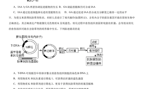 黄金卷03（原卷版）_2024年新高考资料_4.2024高考模拟预测试卷_赢在高考&middot;黄金8卷备战2024年高考生物模拟卷（湖南专用）31263208