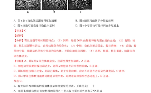 黄金卷02（解析版）-赢在高考&middot;黄金8卷备战2024年高考生物模拟卷（安徽专用）_2024年新高考资料_4.2024高考模拟预测试卷