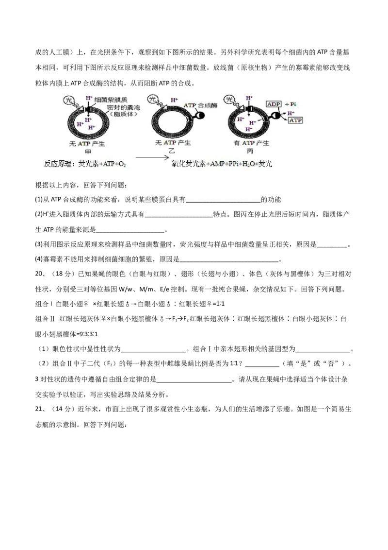 黄金卷03（考试版）-赢在高考&middot;黄金8卷备战2024年高考生物模拟卷（湖北专用）_2024年新高考资料_4.2024高考模拟预测试卷