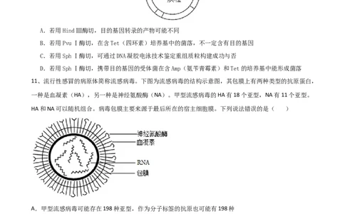 黄金卷03（考试版）-赢在高考&middot;黄金8卷备战2024年高考生物模拟卷（湖北专用）_2024年新高考资料_4.2024高考模拟预测试卷