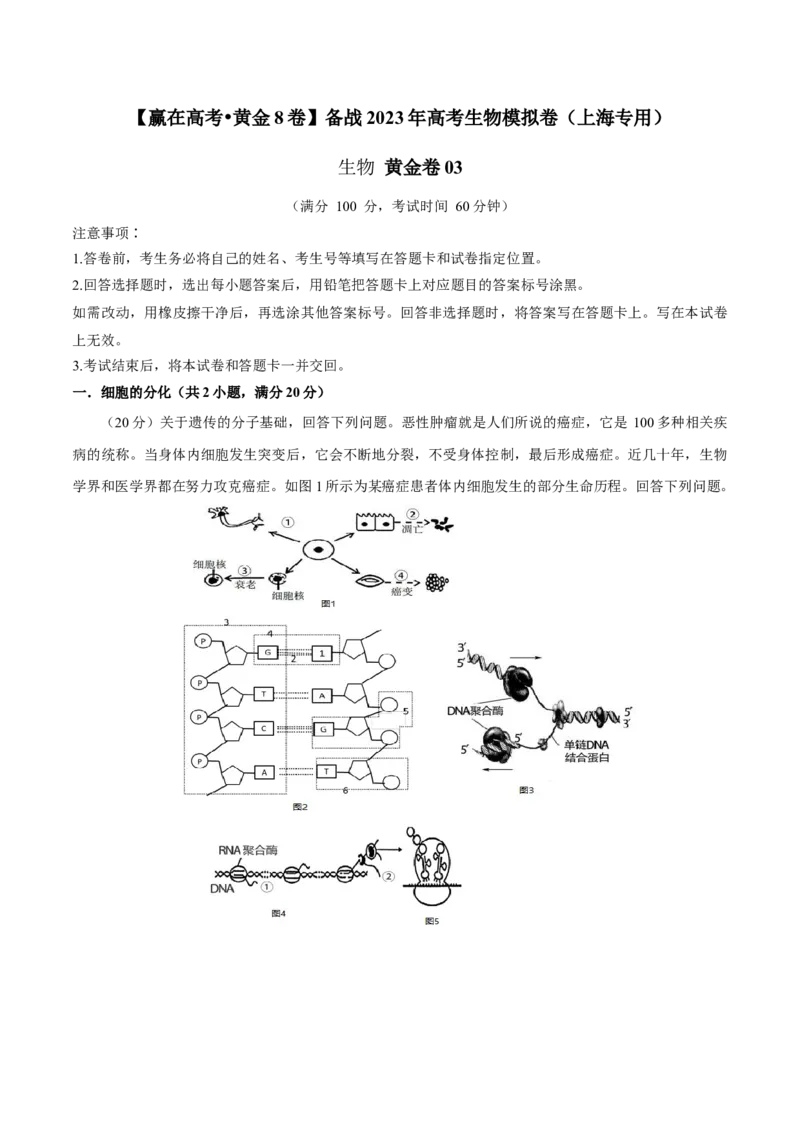 黄金卷03（考试版）-赢在高考&middot;黄金8卷备战2024年高考生物模拟卷（上海专用）_2024年新高考资料_4.2024高考模拟预测试卷