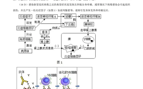 黄金卷03（考试版）-赢在高考&middot;黄金8卷备战2024年高考生物模拟卷（上海专用）_2024年新高考资料_4.2024高考模拟预测试卷