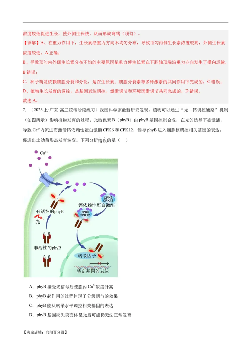 专题08植物生命活动的调节（分层练）（解析版）_新高考复习资料_2024年新高考复习资料_二轮复习资料_高频考点解密2024年高考生物二轮复习高频考点追踪与预测（新高考专用）