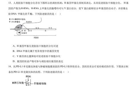 黄金卷08（原卷版）_2024年新高考资料_4.2024高考模拟预测试卷_赢在高考&middot;黄金8卷备战2024年高考生物模拟卷（湖南专用）31263208