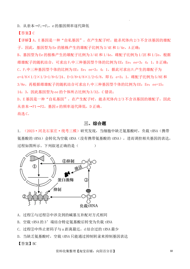 专题08基因的表达以及基因频率的计算（解析版）_新高考复习资料_2024年新高考复习资料_一轮复习资料_完备战2024年高考生物一轮复习重难点突破讲解与训练（新教材）