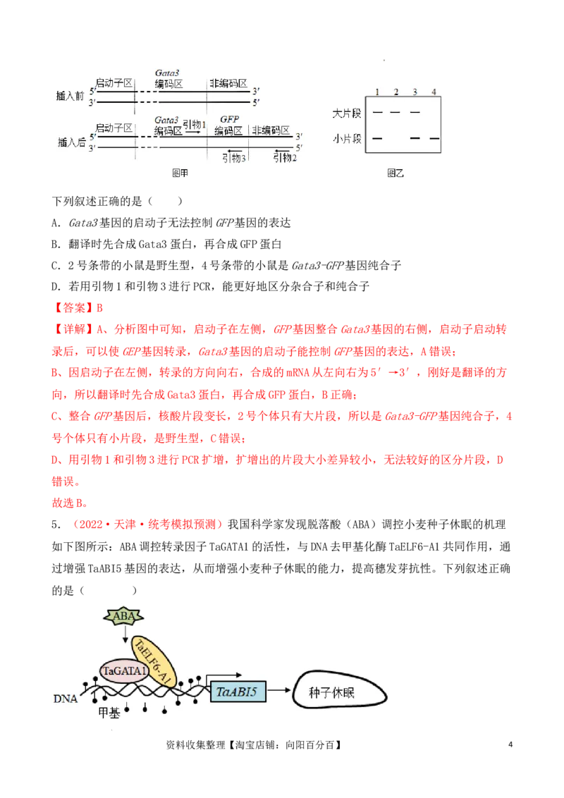 专题08基因的表达以及基因频率的计算（解析版）_新高考复习资料_2024年新高考复习资料_一轮复习资料_完备战2024年高考生物一轮复习重难点突破讲解与训练（新教材）