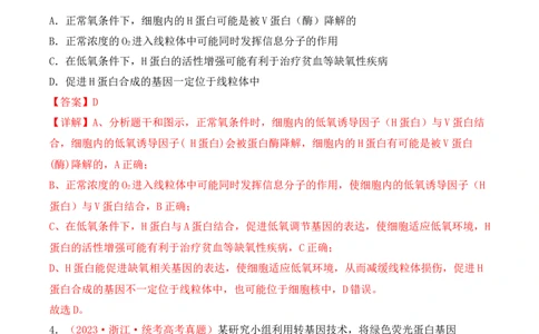 专题08基因的表达以及基因频率的计算（解析版）_新高考复习资料_2024年新高考复习资料_一轮复习资料_完备战2024年高考生物一轮复习重难点突破讲解与训练（新教材）