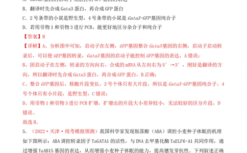 专题08基因的表达以及基因频率的计算（解析版）_新高考复习资料_2024年新高考复习资料_一轮复习资料_完备战2024年高考生物一轮复习重难点突破讲解与训练（新教材）