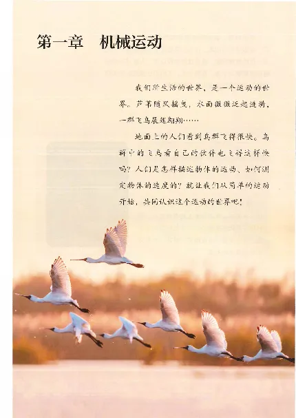 赠送2024秋-人教版-8年级物理-上册_初物_八年级上下册+九年级全一册物理_八年级物理上册_老课标资料