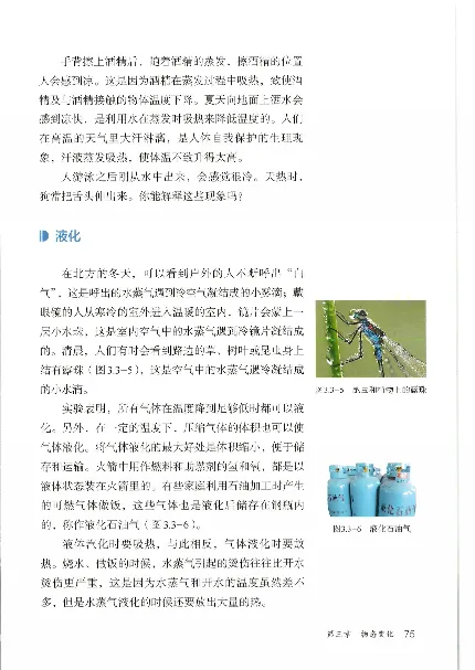 赠送2024秋-人教版-8年级物理-上册_初物_八年级上下册+九年级全一册物理_八年级物理上册_老课标资料