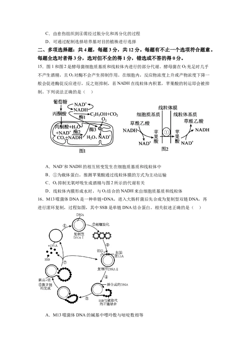 黄金卷04（考试版）-赢在高考&middot;黄金8卷备战2024年高考生物模拟卷（江苏专用）_2024年新高考资料_4.2024高考模拟预测试卷
