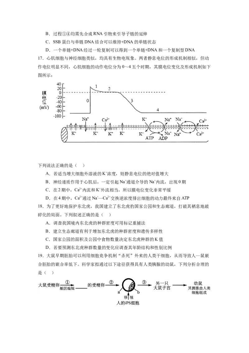 黄金卷04（考试版）-赢在高考&middot;黄金8卷备战2024年高考生物模拟卷（江苏专用）_2024年新高考资料_4.2024高考模拟预测试卷