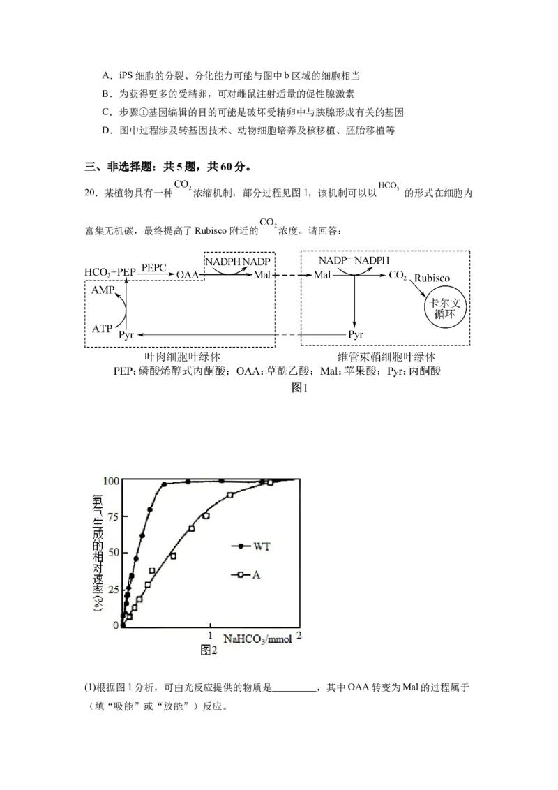 黄金卷04（考试版）-赢在高考&middot;黄金8卷备战2024年高考生物模拟卷（江苏专用）_2024年新高考资料_4.2024高考模拟预测试卷