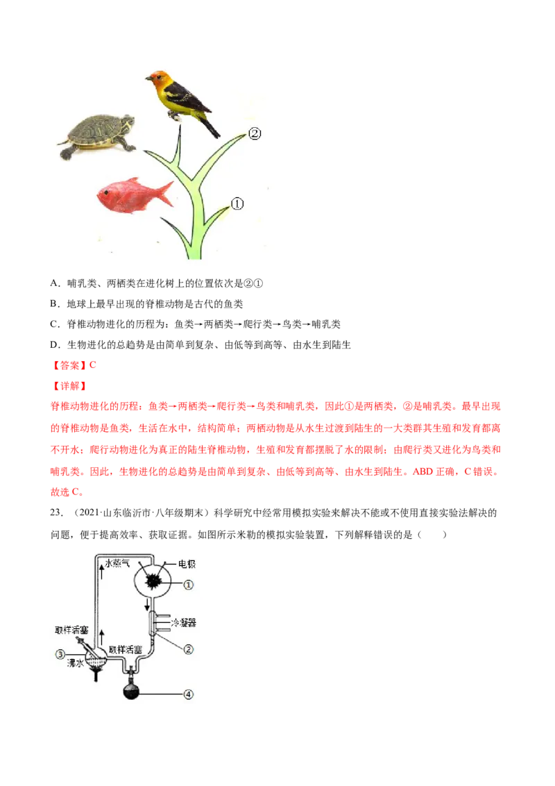03生命起源和生物进化A卷（解析版）_初中全科电子版试卷练习试题_生物_生物8下练习_人教生物8年级下单元试卷38份_第3套八年级生物下册单元试卷（人教版）06份