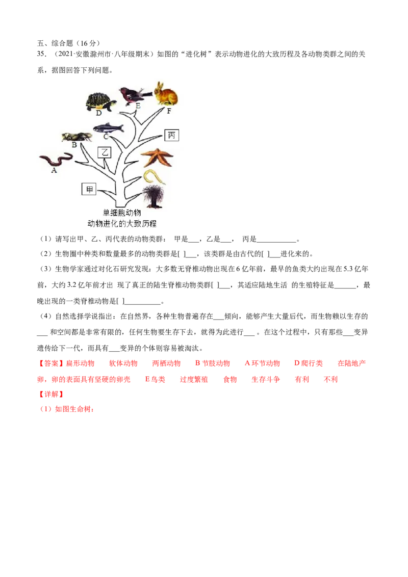 03生命起源和生物进化A卷（解析版）_初中全科电子版试卷练习试题_生物_生物8下练习_人教生物8年级下单元试卷38份_第3套八年级生物下册单元试卷（人教版）06份
