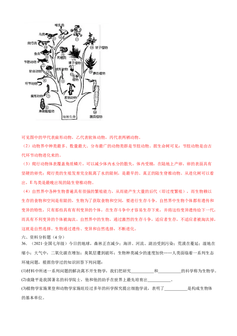 03生命起源和生物进化A卷（解析版）_初中全科电子版试卷练习试题_生物_生物8下练习_人教生物8年级下单元试卷38份_第3套八年级生物下册单元试卷（人教版）06份