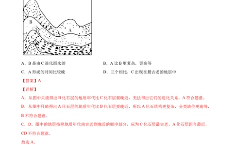 03生命起源和生物进化A卷（解析版）_初中全科电子版试卷练习试题_生物_生物8下练习_人教生物8年级下单元试卷38份_第3套八年级生物下册单元试卷（人教版）06份