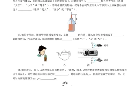 专题10压强（测试）（原卷版）_8、物理总复习_2024年中考复习资料_一轮复习_课件+讲义+练习2024年中考物理一轮复习讲练测（全国通用）_配套练习（原卷版+解析版）