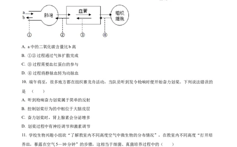 03八年级下学期期中生物试题（原卷版）_初中全科电子版试卷练习试题_生物_生物8下练习_人教生物8年级下期中试卷10份