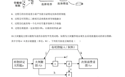 黄金卷06（考试版）_2024年新高考资料_4.2024高考模拟预测试卷_赢在高考&middot;黄金8卷备战2024年高考生物模拟卷（广东专用）31276448
