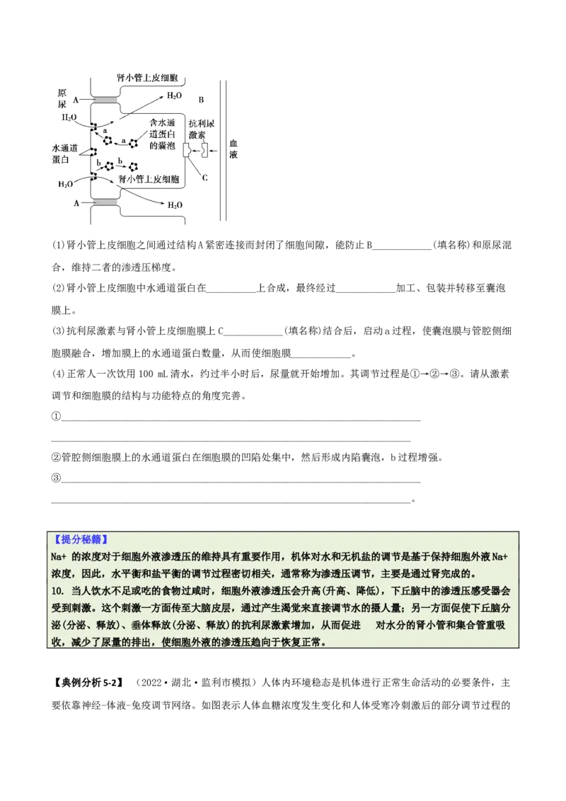 专题09稳态与调节分析（原卷版）_2025年新高考资料_二轮复习_2025年高考生物二轮热点题型归纳与变式演练（新高考通用）3404350_专题09稳态与调节分析