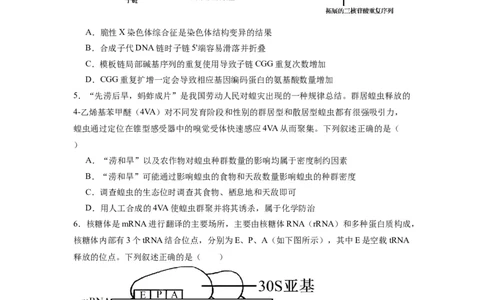 黄金卷05（考试版）-赢在高考&middot;黄金8卷备战2024年高考生物模拟卷（江苏专用）_2024年新高考资料_4.2024高考模拟预测试卷