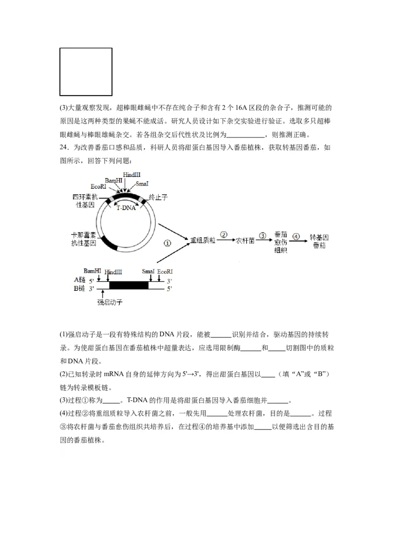 黄金卷05（考试版）-赢在高考&middot;黄金8卷备战2024年高考生物模拟卷（江苏专用）_2024年新高考资料_4.2024高考模拟预测试卷
