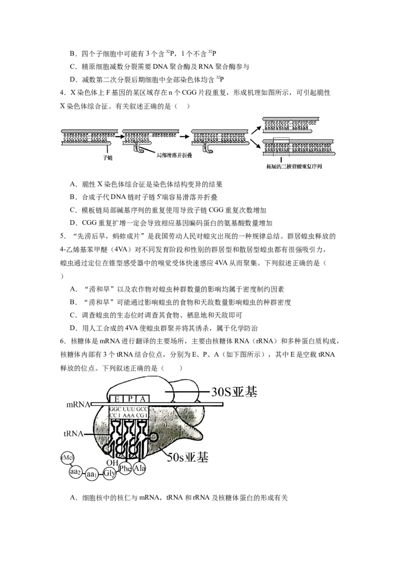 黄金卷05（考试版）-赢在高考&middot;黄金8卷备战2024年高考生物模拟卷（江苏专用）_2024年新高考资料_4.2024高考模拟预测试卷