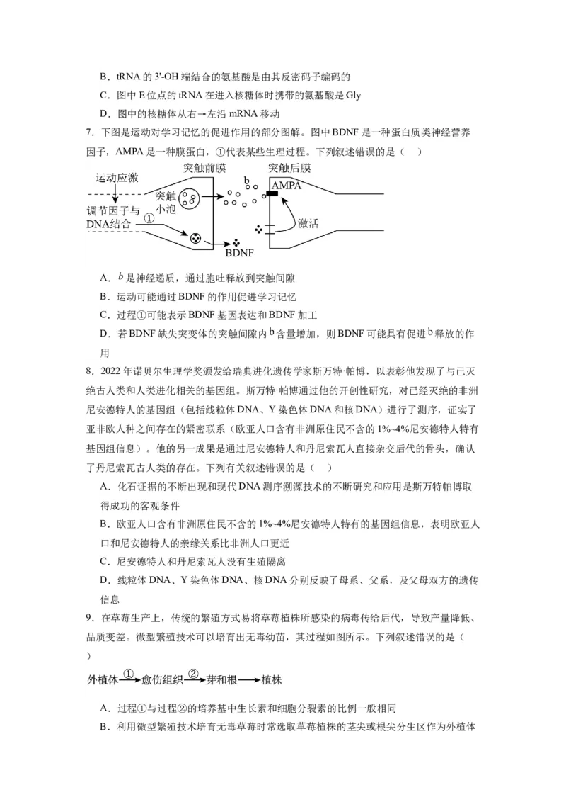 黄金卷05（考试版）-赢在高考&middot;黄金8卷备战2024年高考生物模拟卷（江苏专用）_2024年新高考资料_4.2024高考模拟预测试卷