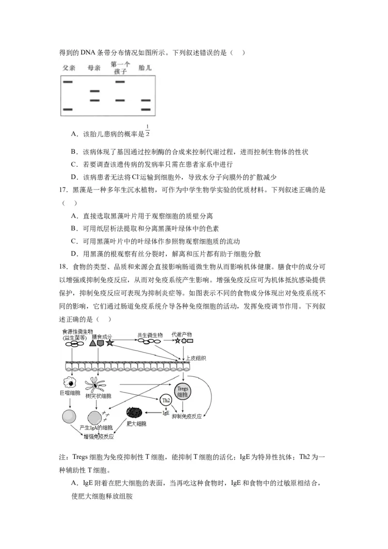 黄金卷05（考试版）-赢在高考&middot;黄金8卷备战2024年高考生物模拟卷（江苏专用）_2024年新高考资料_4.2024高考模拟预测试卷